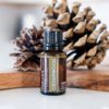 Cedarwood Essential Oil