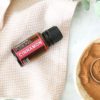 Cinnamon Bark Essential Oil
