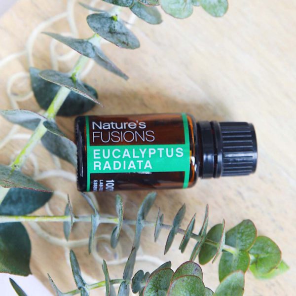 Eucalyptus Essential Oil