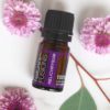 Helichrysum Essential Oil