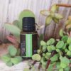 Lemongrass Essential Oil