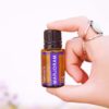 Marjoram Essential Oil