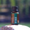 Pine Essential Oil