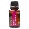 Women’s Monthly (Pink Flowers) Essential Oil Blend