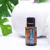 Be Focused (Refreshing Wind) Essential Oil Blend