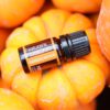 Sandalwood Essential Oil