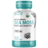 Nutri Sea Moss with Bladderwrack, Burdock & Black Pepper 1405 mg – 60 Count – Organic