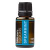 Spearmint Essential Oil