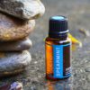Spearmint Essential Oil