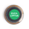 Eucalyptus Essential Oil