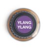 Ylang-ylang Essential Oil