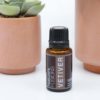 Vetiver Essential Oil