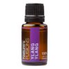 Ylang-ylang Essential Oil